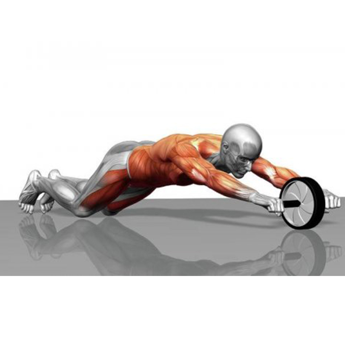 AbTrainer, posilňovacie koliesko s potiahnutými rukoväťami - Image 9